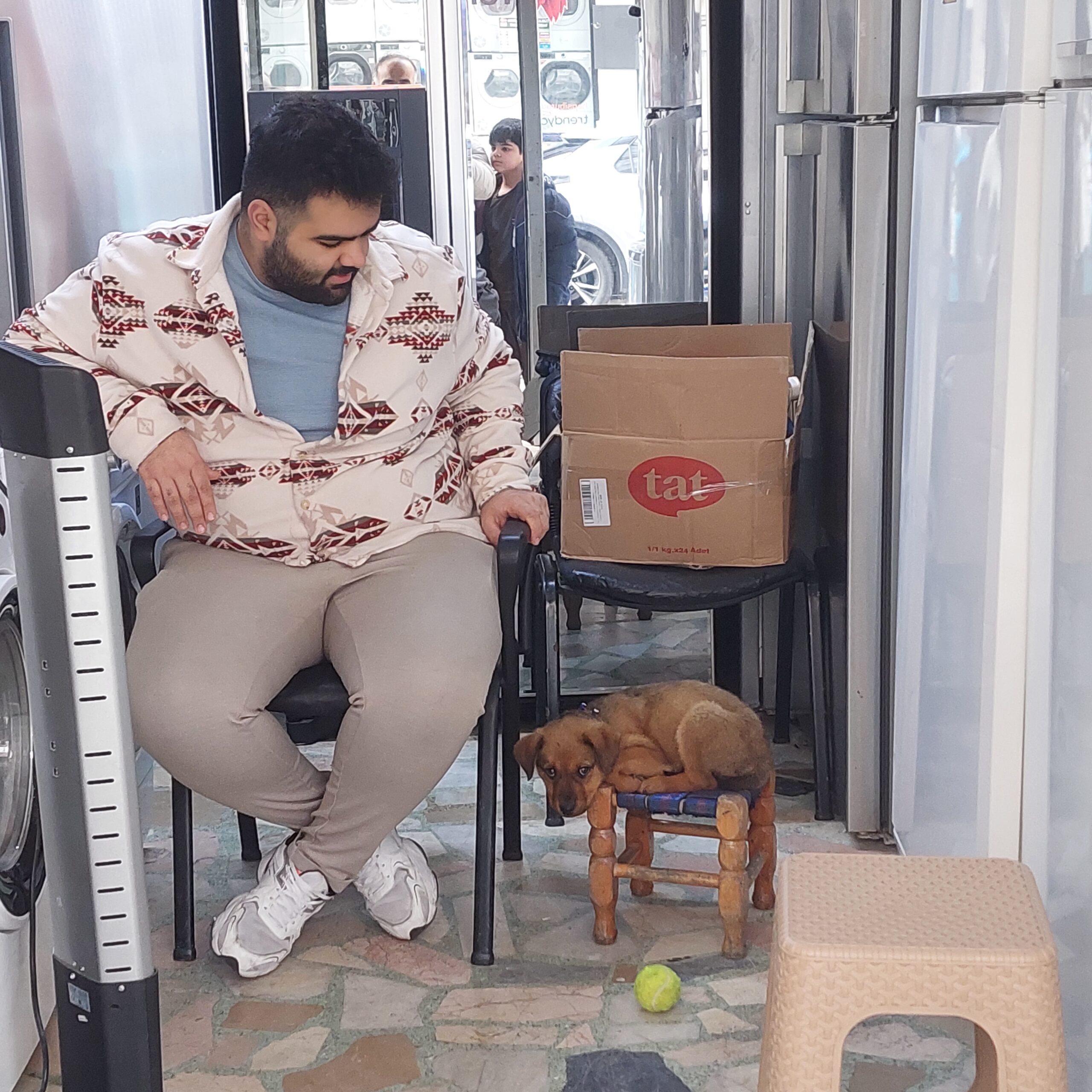 Mehmet Barış Korkmaz 